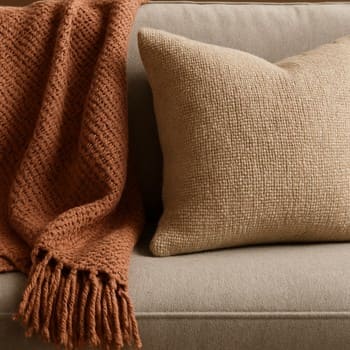 Divan üzərində iki rəngli yastıq və yan masada saksı bitkisi ilə duet